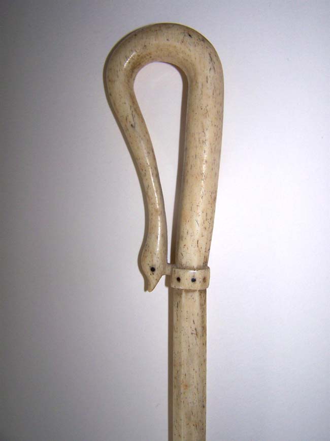 A rare Antique Whalebone One Piece Walking Stick with Curved Serpent Head Handle — image 2